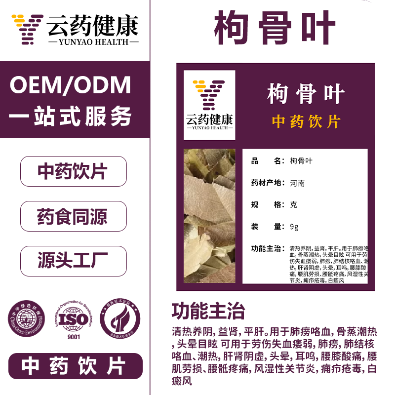 枸骨叶