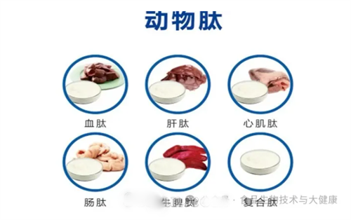 动物肽原料供应血肽肝肽心肌肽肠肽牛脾肽复合肽