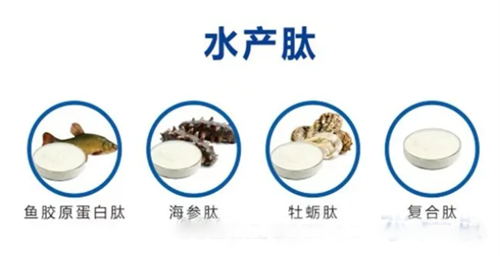 水产肽原料供应鱼胶原蛋白肽海参肽牡蛎肽复合肽