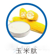 玉米肽原料供应