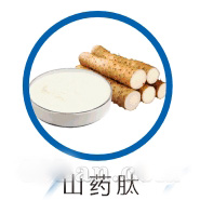山药肽原料供应