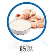肠肽原料供应