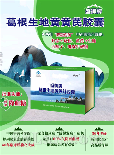 盛御牌葛根生地黄黄芪胶囊（原益山胶囊）