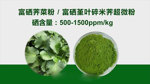 富硒荠菜粉