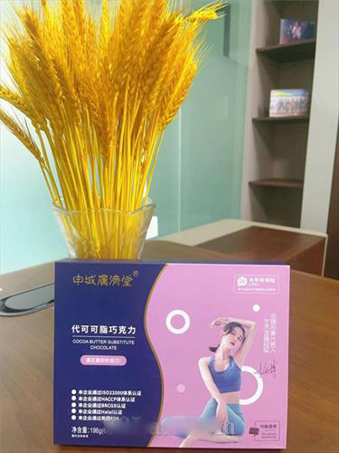 申城廣濟堂 代可可脂巧克力
